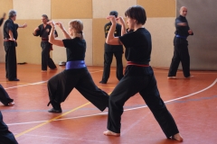 Tres 2011 (49)